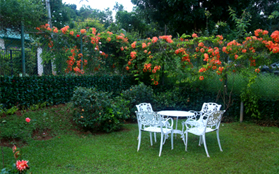 Holiday Bungalow in Kandy - Image